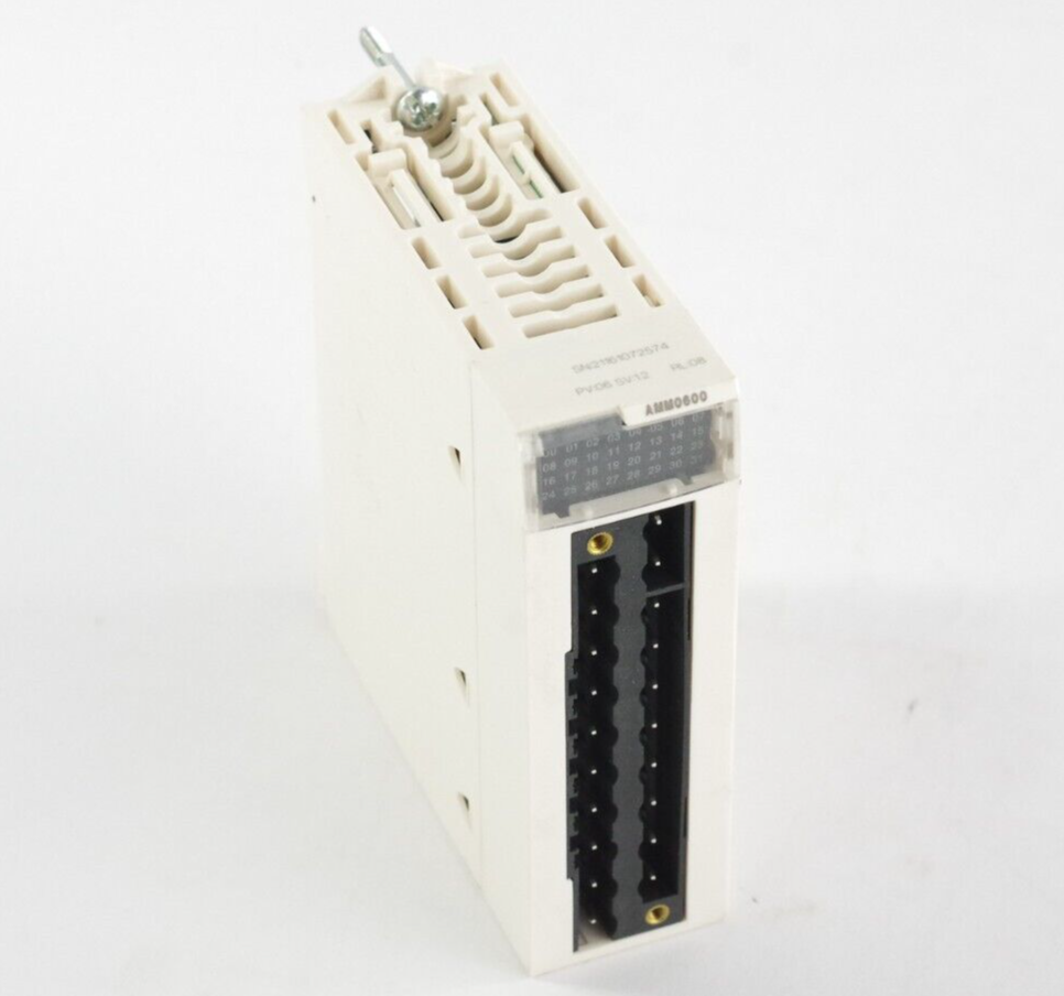 Schneider Electric BMXAMM0600 Mixed Analog I/O Module AMM0600